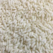 Additional Vilaconic grain photograph