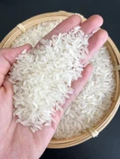 Additional Vilaconic grain photograph — representative fragrant rice view