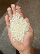 Dai Thom 8 sample in hand