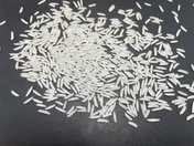 ST25 individual grain detail
