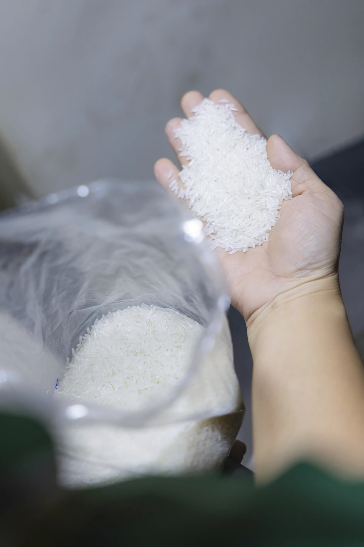 Review of a raw rice sample in hand