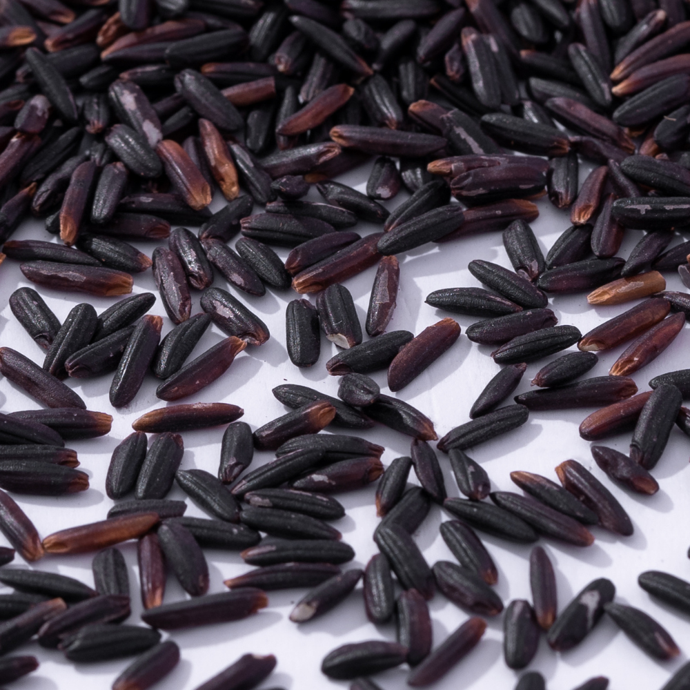 Additional Vilaconic grain photograph
