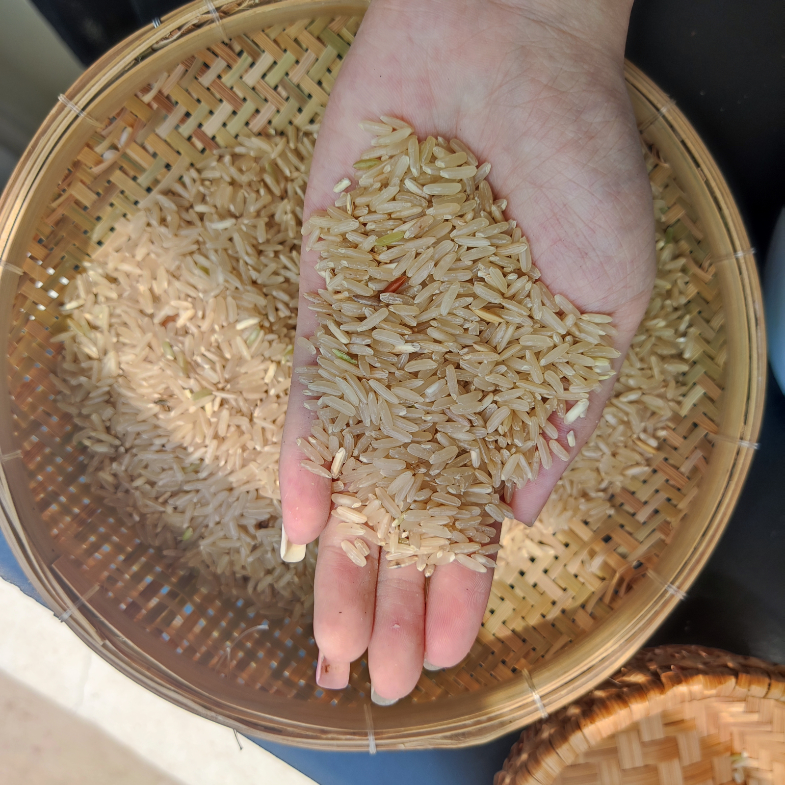 BROWN-RICE · Another grain view