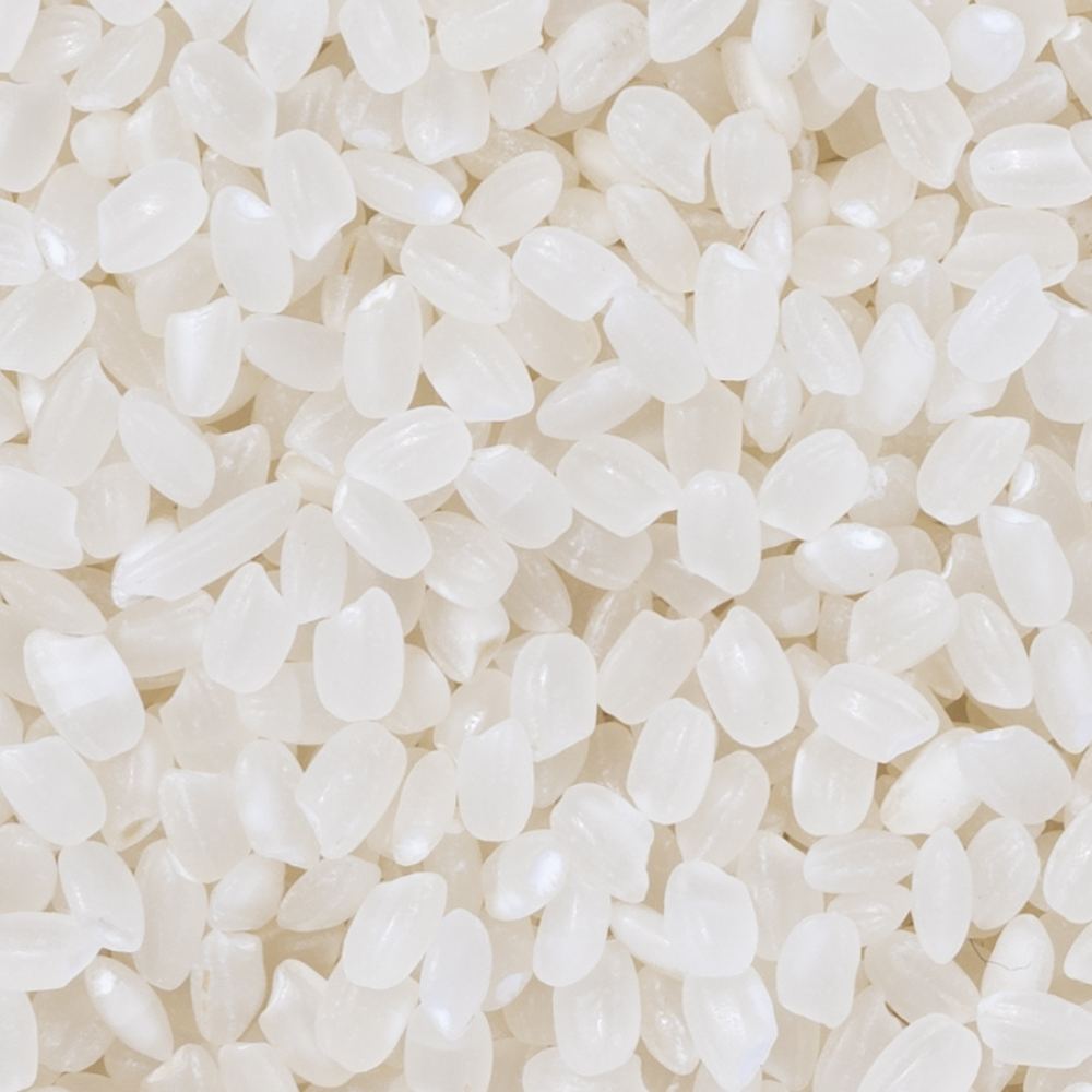Additional Vilaconic grain photograph