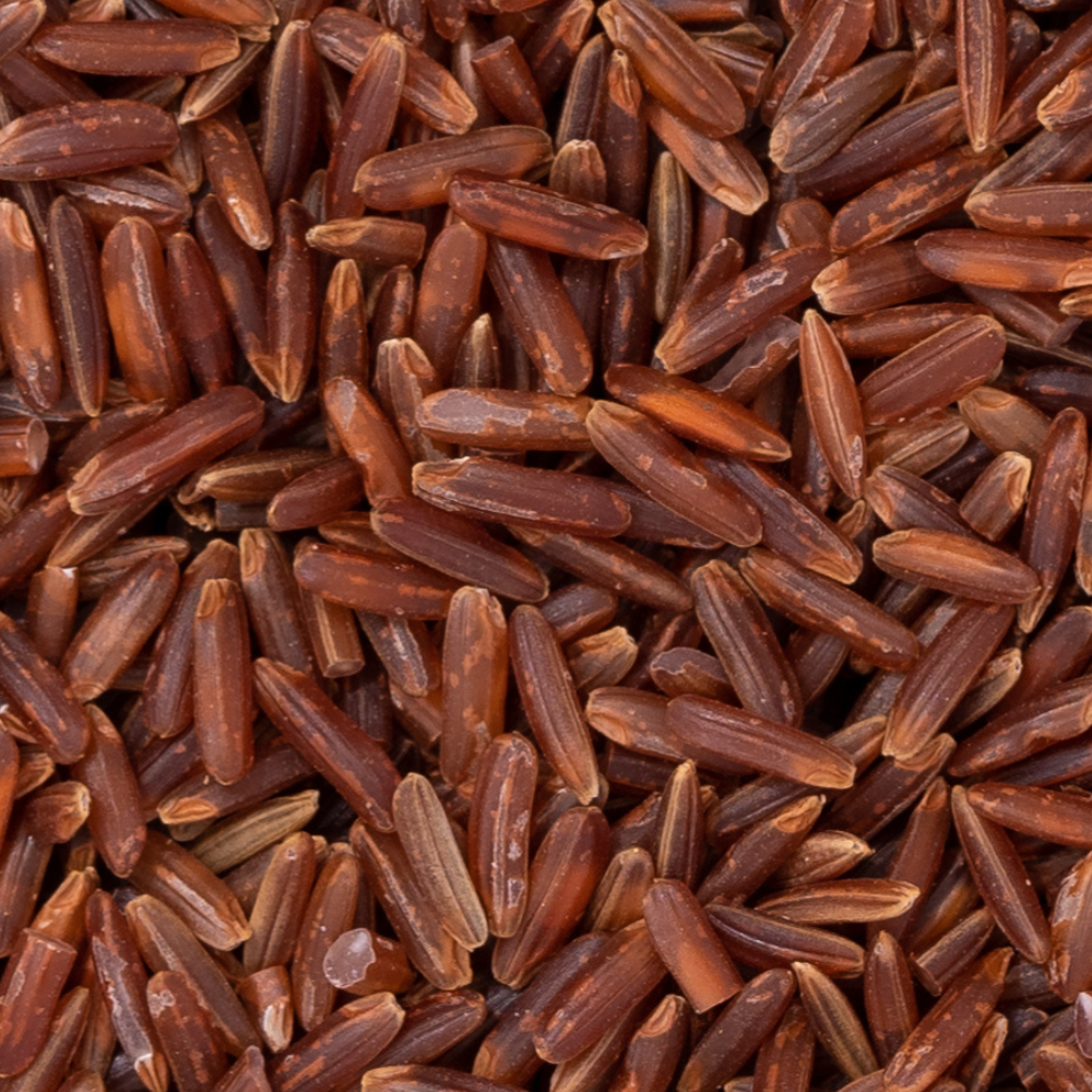 Additional Vilaconic grain photograph