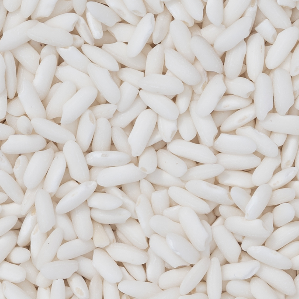 Additional Vilaconic grain photograph