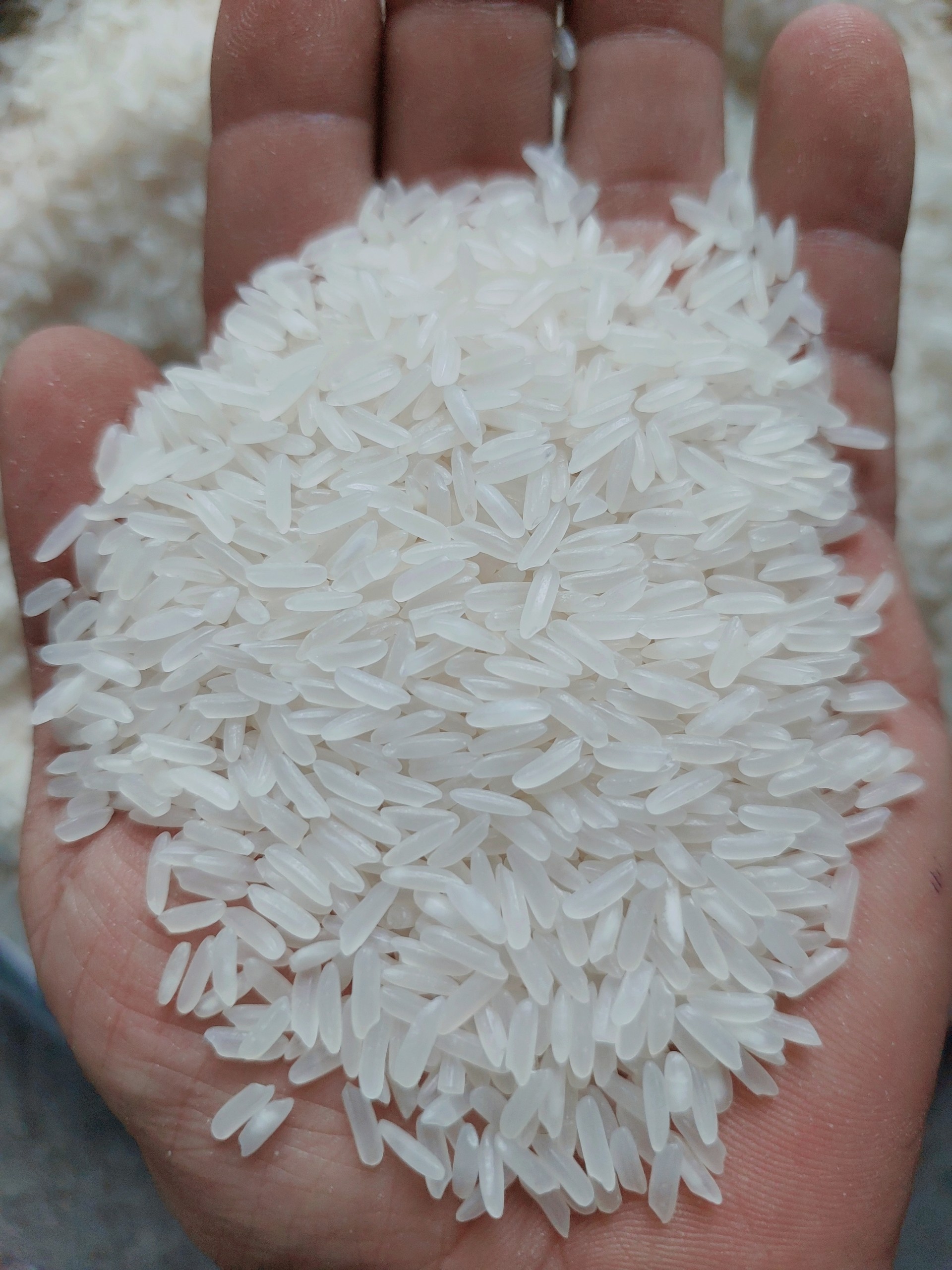 Jasmine grain view in hand