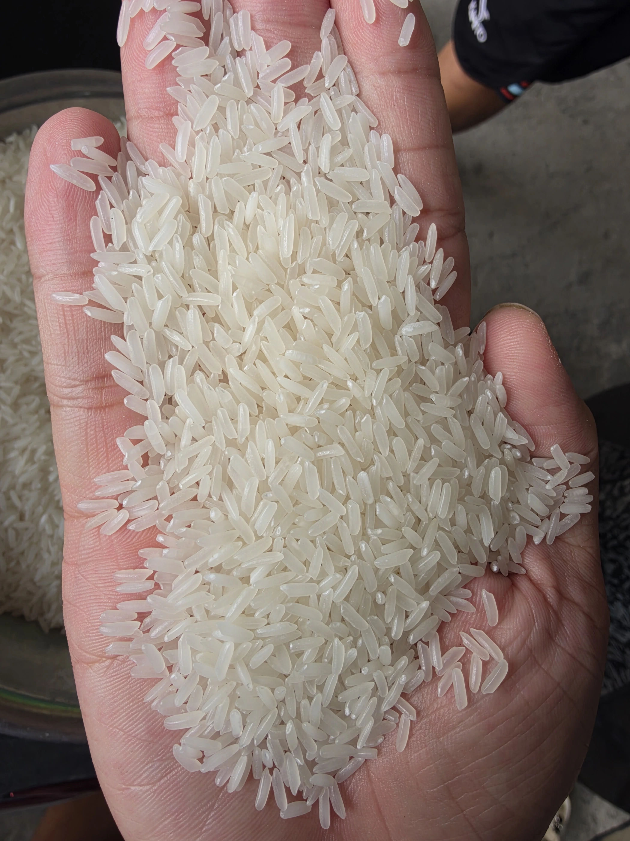 Nang Hoa — close-up in hand