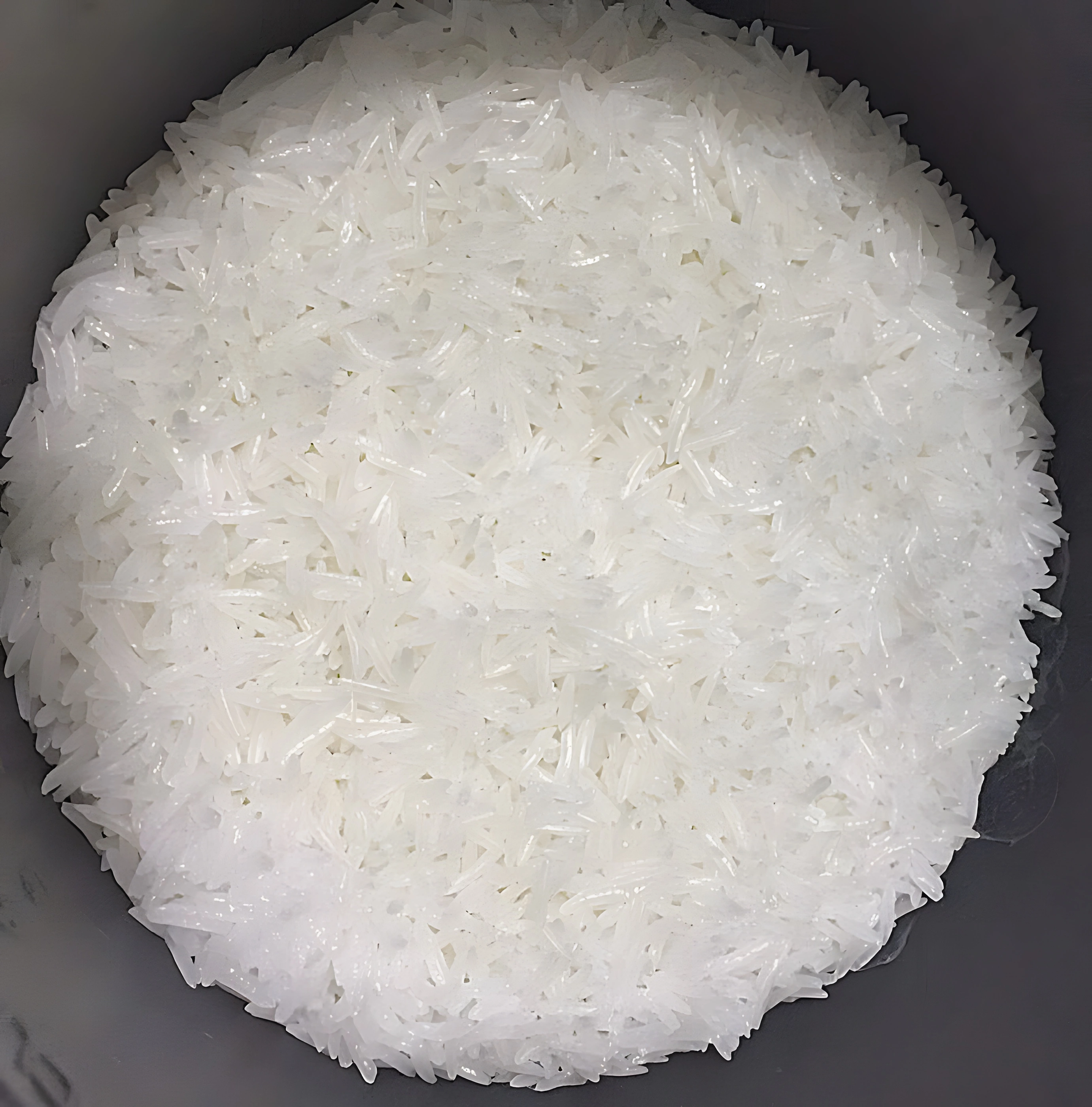 ST25 cooked rice close-up