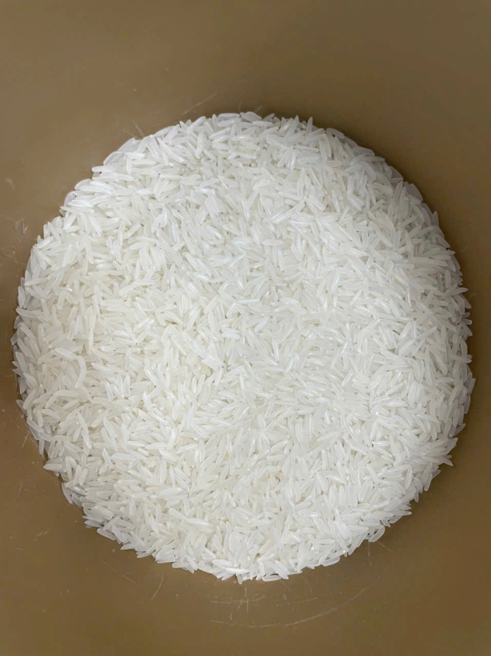 ST25 · Uncooked rice before cooking