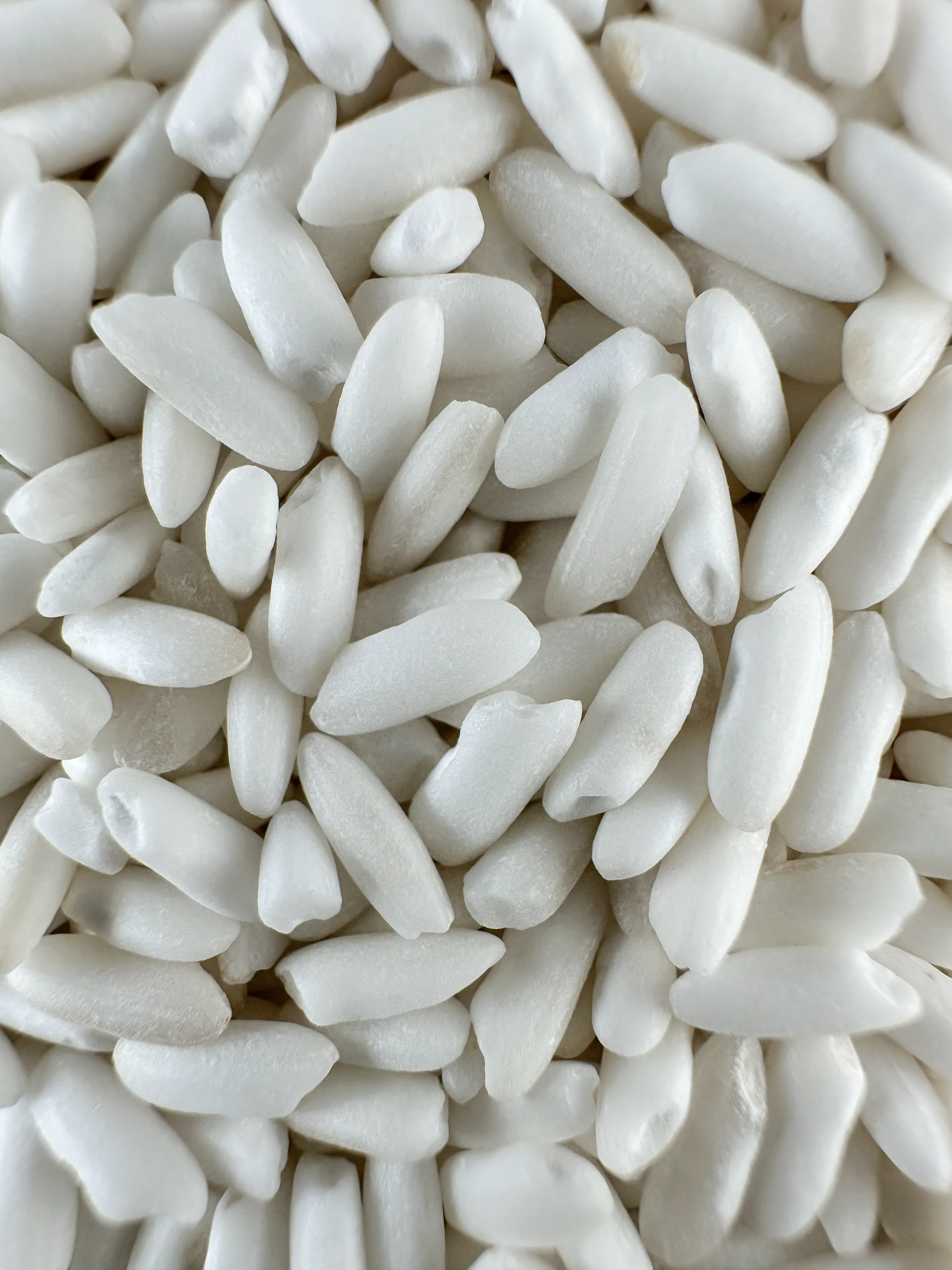 Nếp Sáp · Grain close-up